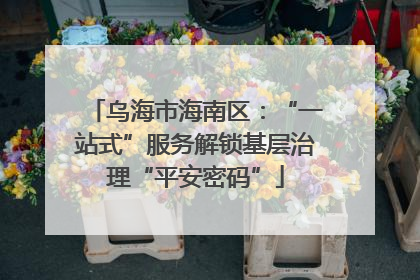 乌海市海南区：“一站式”服务解锁基层治理“平安密码”
