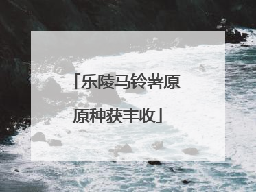 乐陵马铃薯原原种获丰收