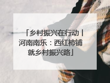 乡村振兴在行动丨河南南乐：西红柿铺就乡村振兴路