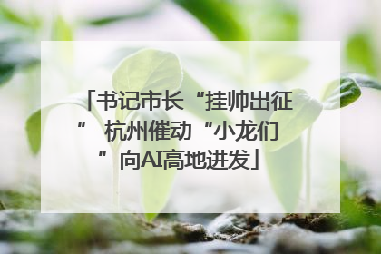 书记市长“挂帅出征” 杭州催动“小龙们”向AI高地进发