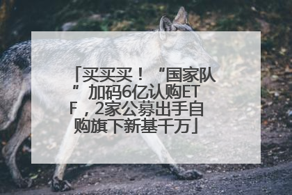 买买买！“国家队”加码6亿认购ETF，2家公募出手自购旗下新基千万