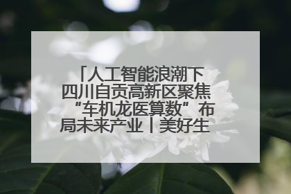人工智能浪潮下 四川自贡高新区聚焦“车机龙医算数”布局未来产业丨美好生活有“盐”味