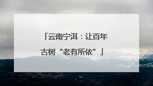 云南宁洱：让百年古树“老有所依”