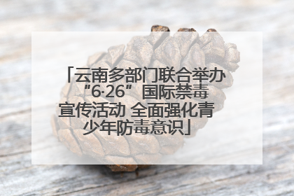 云南多部门联合举办“6·26”国际禁毒宣传活动 全面强化青少年防毒意识