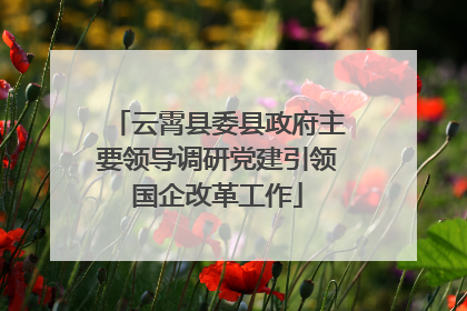 云霄县委县政府主要领导调研党建引领国企改革工作