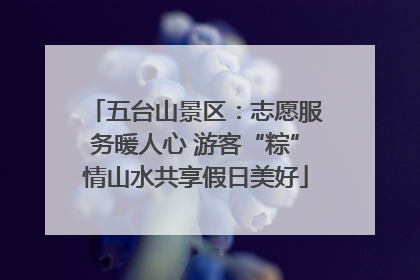 五台山景区：志愿服务暖人心 游客“粽”情山水共享假日美好