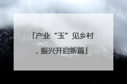 产业“玉”见乡村，振兴开启新篇