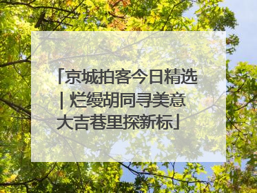 京城拍客今日精选｜烂缦胡同寻美意 大吉巷里探新标