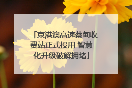 京港澳高速蔡甸收费站正式投用 智慧化升级破解拥堵