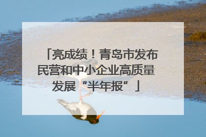 亮成绩！青岛市发布民营和中小企业高质量发展“半年报”