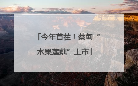 今年首茬！蔡甸“水果莲藕”上市