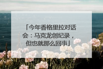 今年香格里拉对话会：马克龙创纪录，但也就那么回事