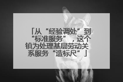 从“经验调处”到“标准服务”，这个镇为处理基层劳动关系服务“造标尺”