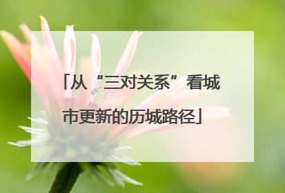 从“三对关系”看城市更新的历城路径