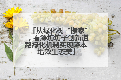 从绿化树“搬家”，看潍坊坊子创新道路绿化机制实现降本增效生态美