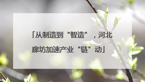 从制造到“智造”，河北廊坊加速产业“链”动
