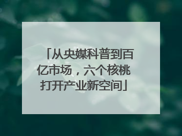从央媒科普到百亿市场，六个核桃打开产业新空间