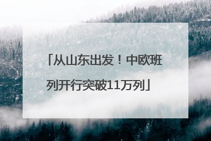 从山东出发！中欧班列开行突破11万列