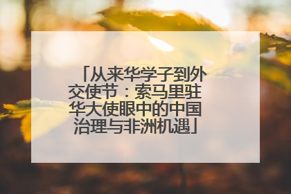 从来华学子到外交使节：索马里驻华大使眼中的中国治理与非洲机遇