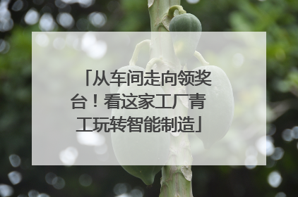 从车间走向领奖台！看这家工厂青工玩转智能制造