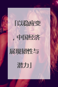 以稳应变，中国经济展现韧性与潜力