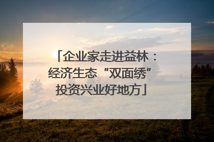 企业家走进益林：经济生态“双面绣” 投资兴业好地方