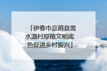 伊春市嘉荫县雪水温村厚植文明底色促进乡村振兴