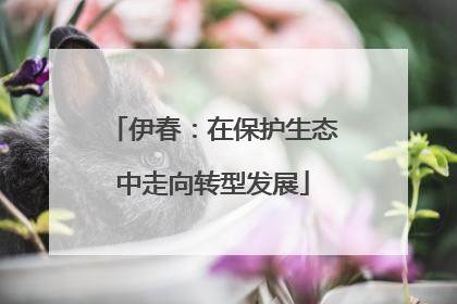 伊春：在保护生态中走向转型发展