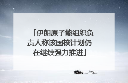 伊朗原子能组织负责人称该国核计划仍在继续强力推进