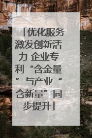 优化服务激发创新活力 企业专利“含金量”与产业“含新量”同步提升