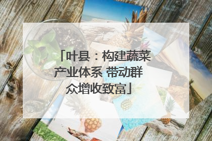 叶县：构建蔬菜产业体系 带动群众增收致富