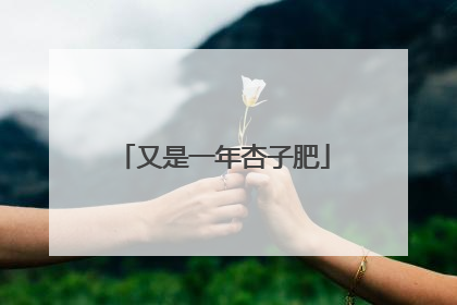 又是一年杏子肥
