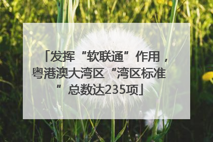 发挥“软联通”作用，粤港澳大湾区“湾区标准”总数达235项