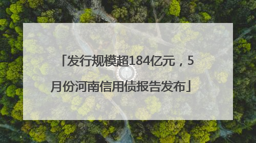 发行规模超184亿元，5月份河南信用债报告发布