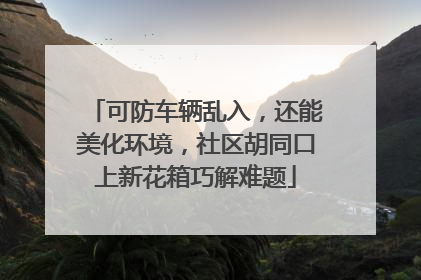 可防车辆乱入，还能美化环境，社区胡同口上新花箱巧解难题