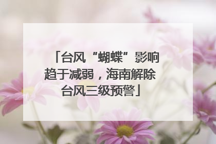 台风“蝴蝶”影响趋于减弱，海南解除台风三级预警