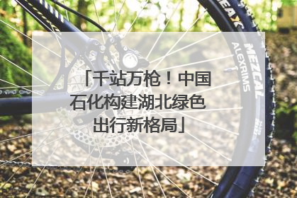 千站万枪！中国石化构建湖北绿色出行新格局