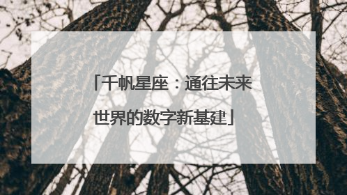 千帆星座：通往未来世界的数字新基建