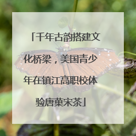 千年古韵搭建文化桥梁，美国青少年在镇江高职校体验唐菓宋茶