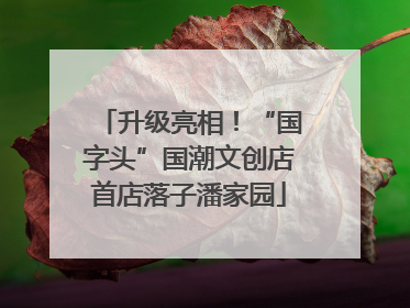 升级亮相！“国字头”国潮文创店首店落子潘家园