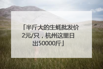 半斤大的生蚝批发价2元/只，杭州这里日出50000斤