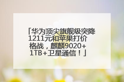 华为顶尖旗舰级突降1211元和苹果打价格战，麒麟9020+1TB+卫星通信！