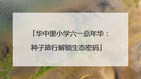 华中里小学六一嘉年华：种子旅行解锁生态密码