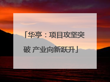 华亭：项目攻坚突破 产业向新跃升