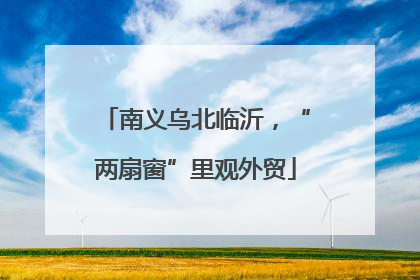 南义乌北临沂，“两扇窗”里观外贸