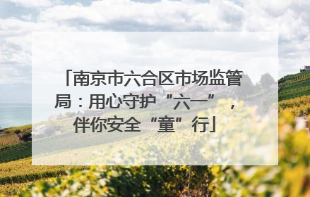 南京市六合区市场监管局：用心守护“六一”，伴你安全“童”行