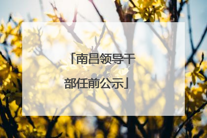 南昌领导干部任前公示