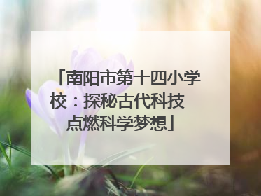 南阳市第十四小学校：探秘古代科技 点燃科学梦想