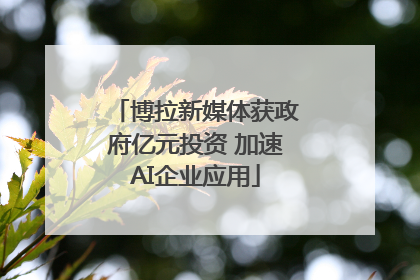 博拉新媒体获政府亿元投资 加速AI企业应用