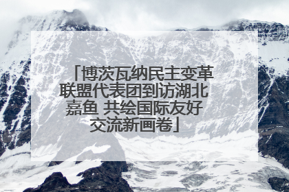 博茨瓦纳民主变革联盟代表团到访湖北嘉鱼 共绘国际友好交流新画卷